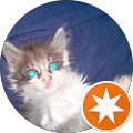 Crash H. Avatar
