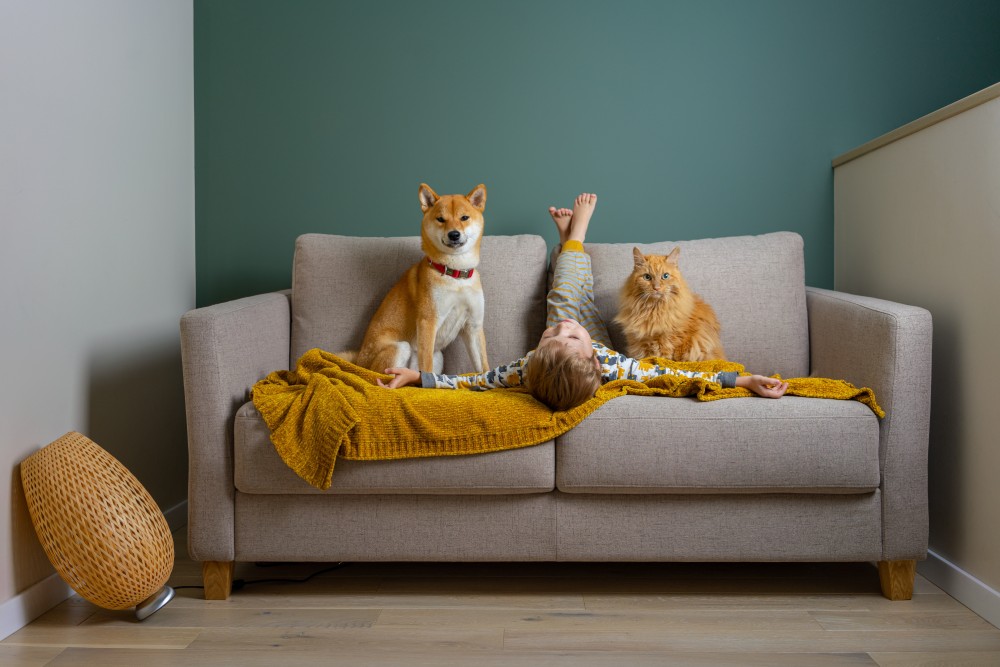 people-on-a-couch-cute-boy-and-his-best-friends-r-2023-11-27-05-07-09-utc (1)